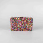 bolso de fiesta